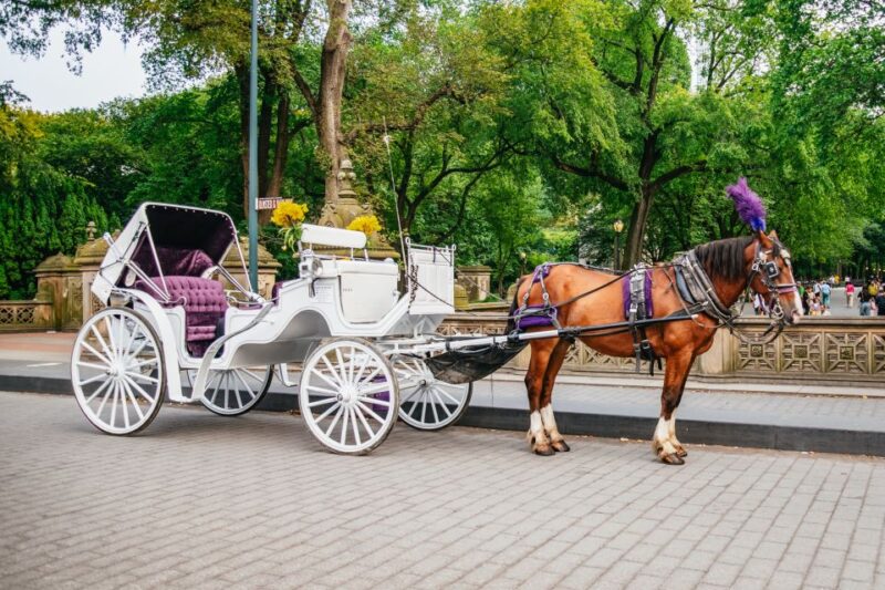 NYC: Guided Central Park Horse Carriage Ride - Narrated Historical Tour