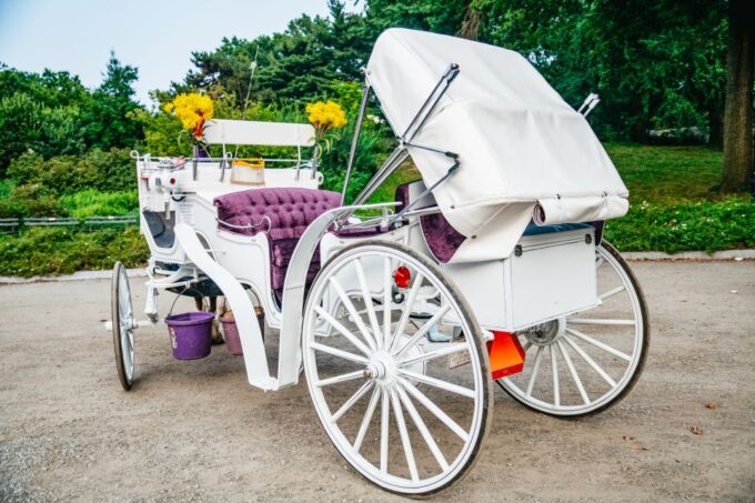 NYC: Guided Central Park Horse Carriage Ride - Photo Opportunities