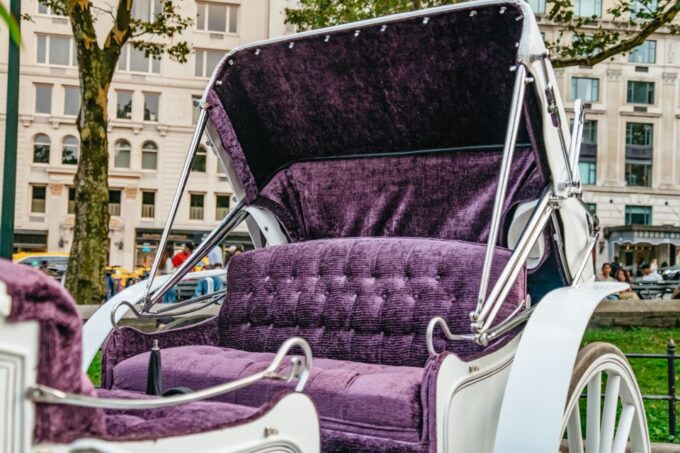 NYC: Guided Central Park Horse Carriage Ride - Accessibility and Weather