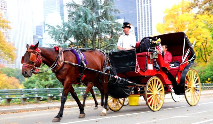 NYC: Guided Standard Central Park Carriage Ride (4 Adults) | Power ...