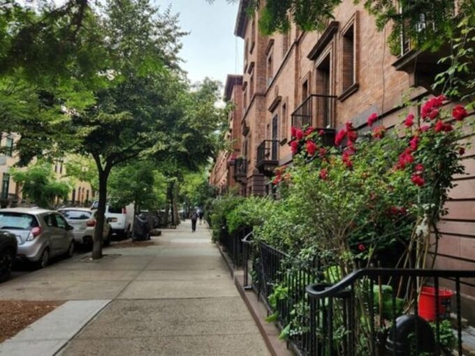NYC: Harlem Guided Walking Tour - Planning Your Harlem Adventure