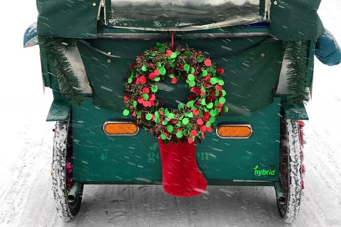 NYC Holiday Lights and Magic Pedicab Tour - The Perfect Meeting Point