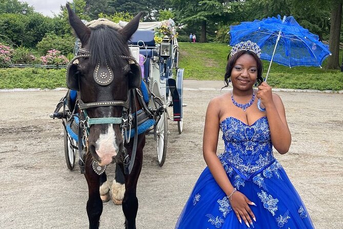 NYC Horse and Carriage Central Park Tours - Tour Features