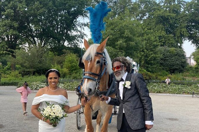 NYC Horse and Carriage Central Park Tours - Customer Testimonials