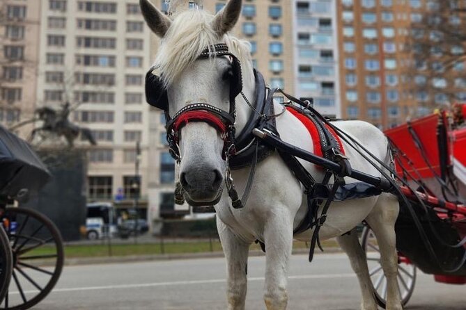 NYC Horse and Carriage Central Park Tours - Booking and Reservation Details