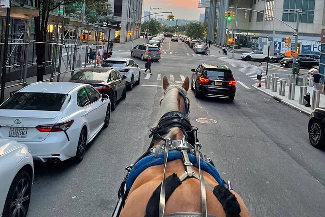 NYC Horse and Carriage Central Park Tours - Accessibility and Accommodations