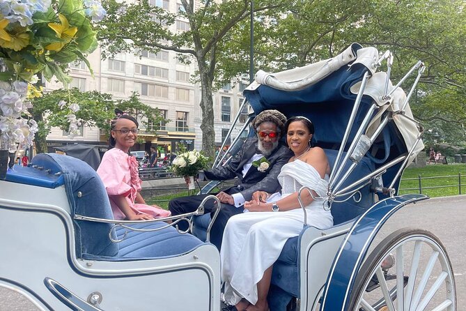 NYC Horse and Carriage Central Park Tours - Additional Considerations