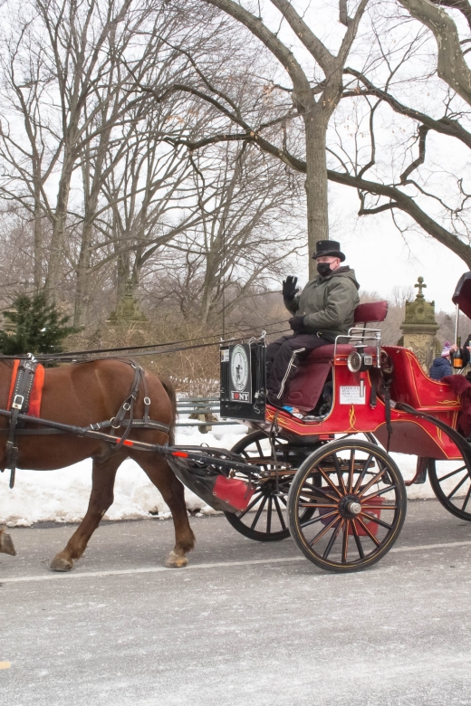NYC Horse Carriage Ride in Central Park (65 Min) - Tour Details and Itinerary