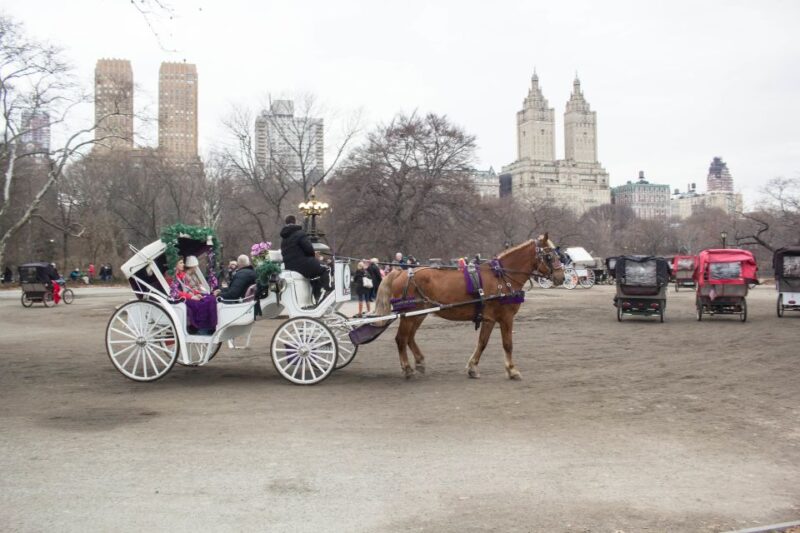 NYC Horse Carriage Ride in Central Park (65 Min) - Booking Information