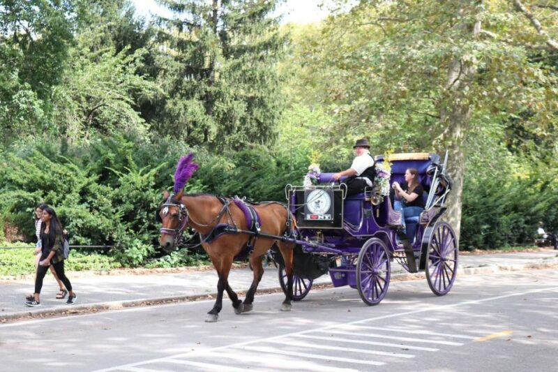 NYC Horse Carriage Ride in Central Park (65 Min) - Customer Feedback