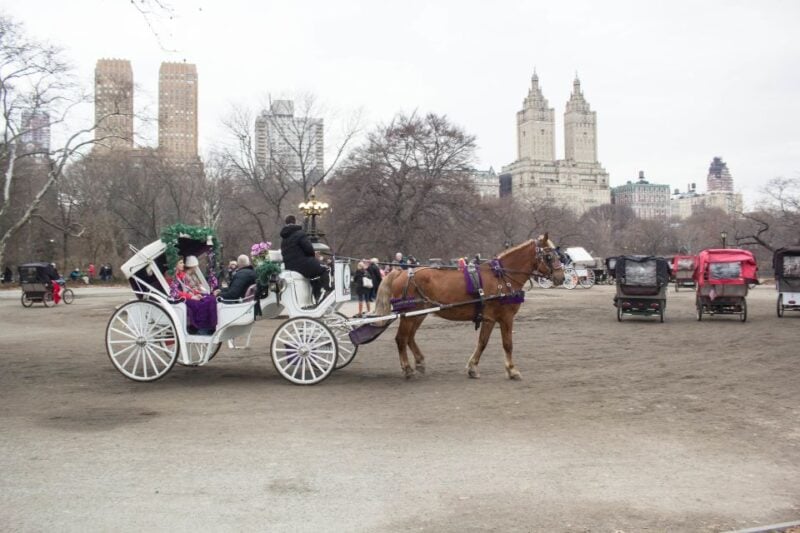 NYC Horse Carriage Ride in Central Park (65 Min) - Scenic Drive Through Central Park