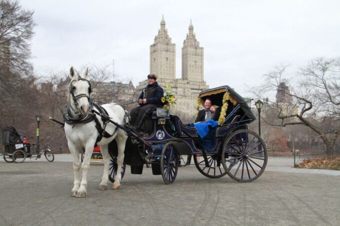 NYC Horse Carriage Ride in Central Park (65 Min) - Highlights and Photo Stops