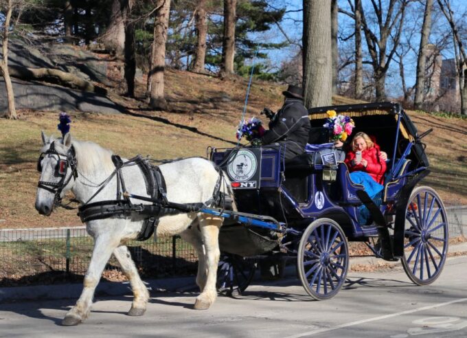 NYC Horse Carriage Ride in Central Park (65 Min) - Duration and Pricing