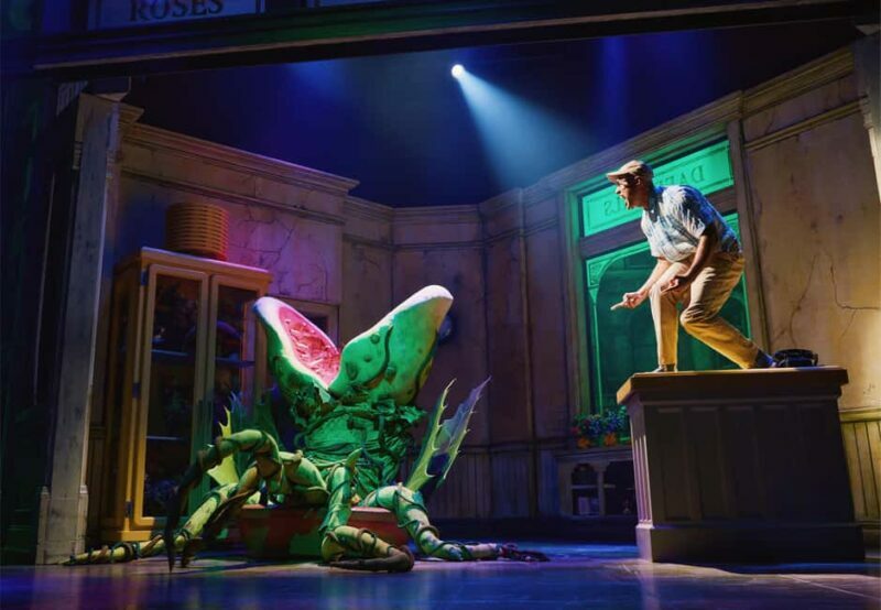 NYC: Little Shop of Horrors Off-Broadway Ticket - FAQ