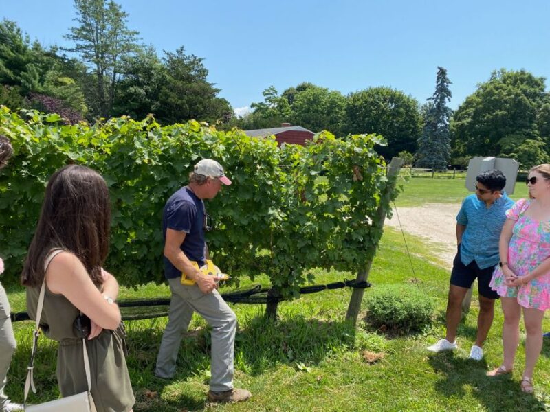 NYC: Long Island Sommelier-Guided Wine Tasting Tour - Itinerary and Activities