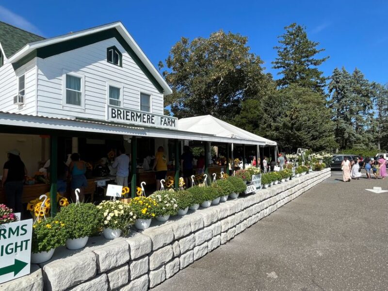 NYC: Long Island Sommelier-Guided Wine Tasting Tour - Experience Highlights