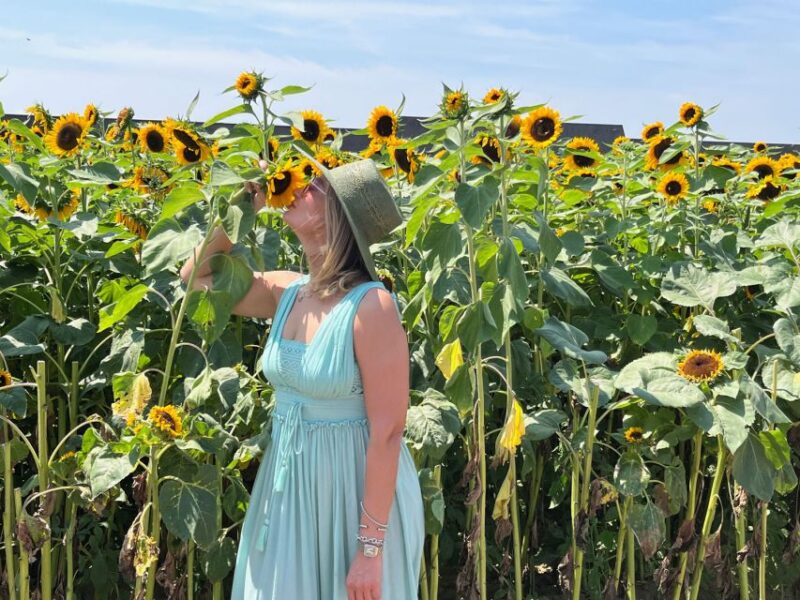 NYC: Long Island Sommelier-Guided Wine Tasting Tour - Customer Feedback and Ratings