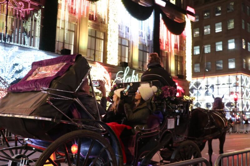 NYC: Magical Christmas Lights Carriage Ride (Up to 4 Adults) - Included Amenities