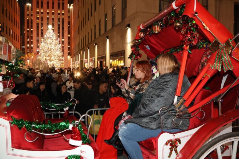 NYC: Magical Christmas Lights Carriage Ride (Up to 4 Adults) - Customer Ratings