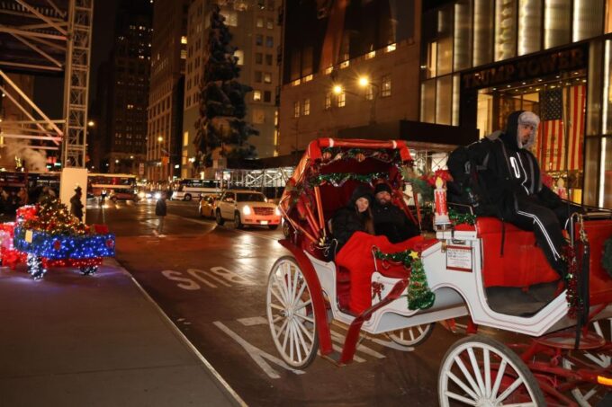 NYC: Magical Christmas Lights Carriage Ride (Up to 4 Adults) - Important Details