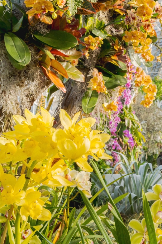 Nyc: New York Botanical All-Garden Pass Entry Ticket - Accessibility and Reviews