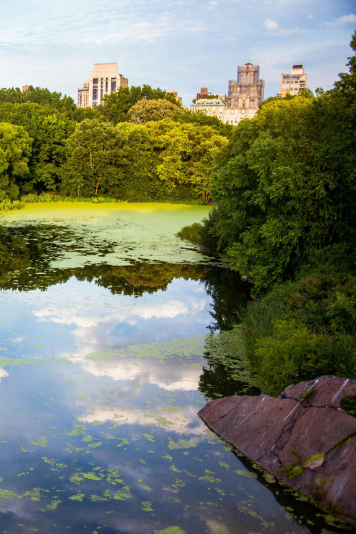 NYC: One-Way Transfer From EWR, LGA, JFK Airport & City Tour - Transfer and Meeting Information