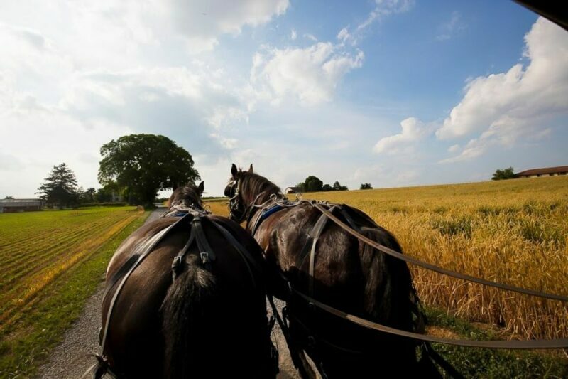 NYC: Philadelphia, Washington DC & Amish Country 2-Day Tour - A Closer Look at the Itinerary