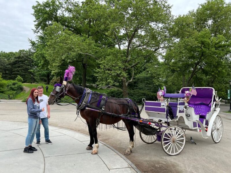 Nyc: Private Central Park Horse Carriage Ride With Guide - Key Points