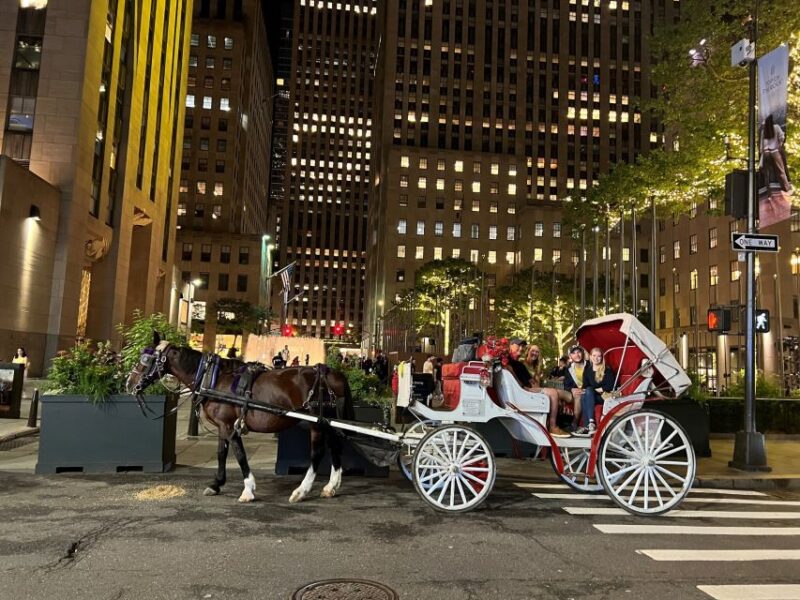 Nyc: Private Central Park Horse Carriage Ride With Guide - Itinerary and Meeting Point