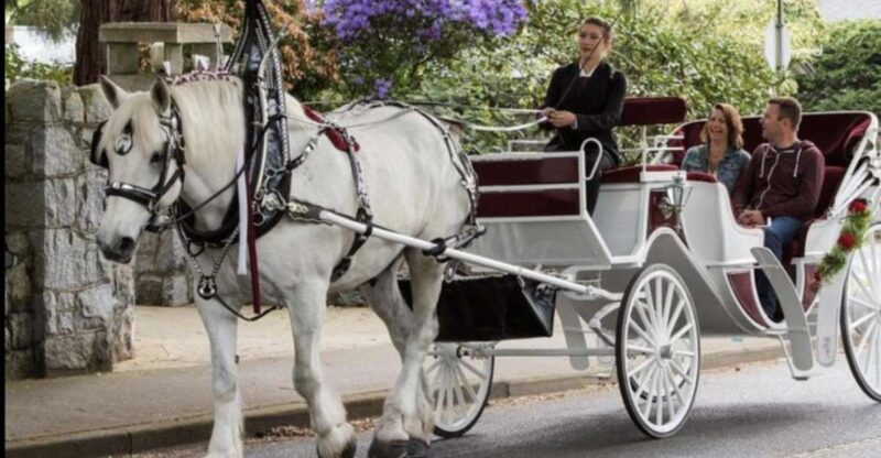 Nyc: Private Central Park Horse Carriage Ride With Guide - Customer Reviews and Ratings
