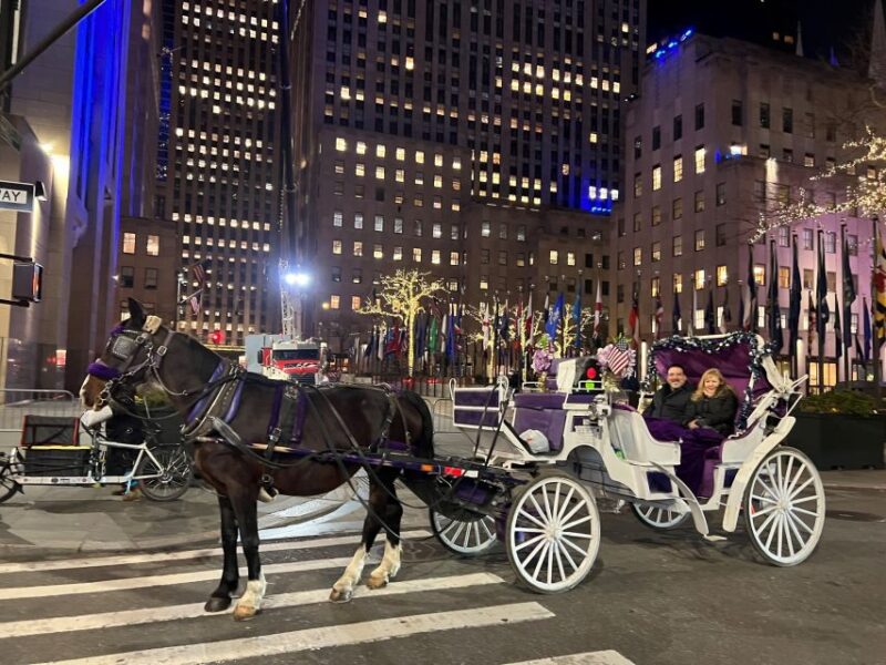 Nyc: Private Central Park Horse Carriage Ride With Guide - Iconic Central Park Landmarks