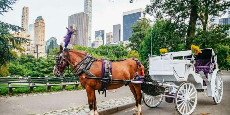 NYC: Private Christmas Lights Horse Carriage Ride - Final Thoughts: Is It Worth It?