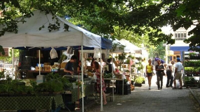 NYC: Soho, Little Italy and Chinatown Private Walking Tour - Customize Your Tour Experience