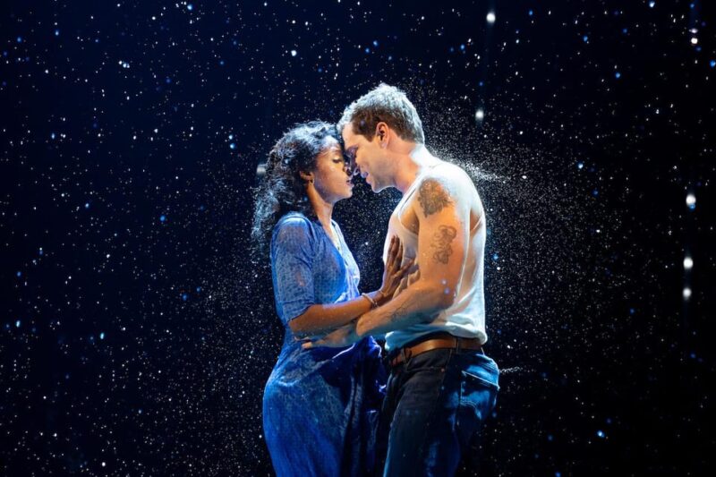 NYC: The Notebook on Broadway - Ticket Pricing and Show Details