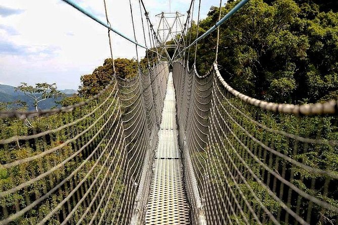 Nyungwe and Volcanoes National Parks - Meeting and Pickup