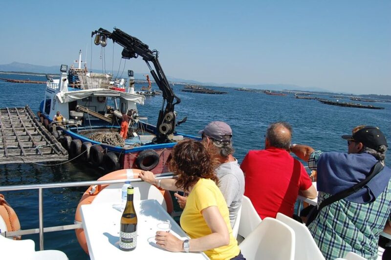 O Grove: Boat Tour at the Arousa Estuary With Mussel Tasting - Participant Requirements and Guidelines