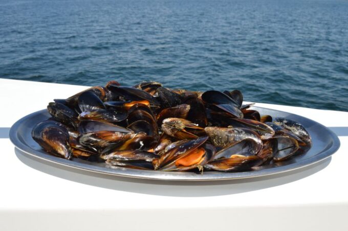 O Grove: Ría De Arousa Catamaran Tour With Seafood Lunch - Important Information