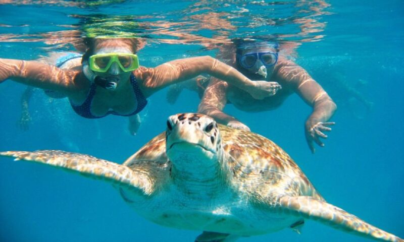 Oahu: 16-Point Guided Circle Tour With Snorkeling and Dole - Tour Experience and Guides