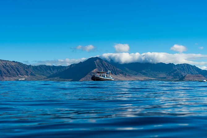 Oahu: 3 Hour Dolphin Swim and Snorkeling Speedboat Tour - Included Amenities