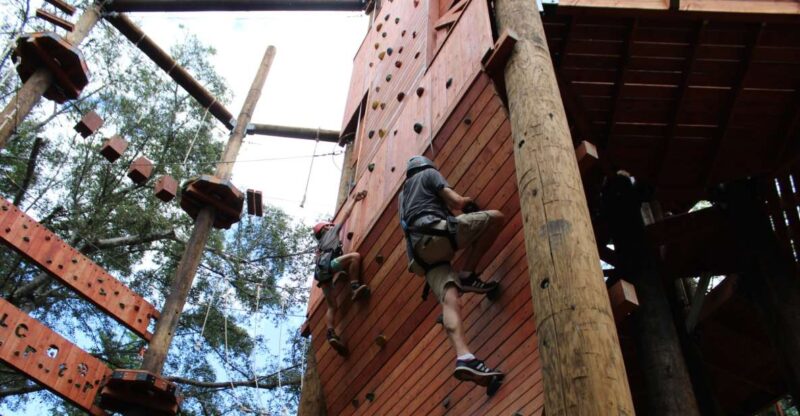 Oahu: Aerial Adventure, Climbing, & Freefall Experience - Freefall Tower