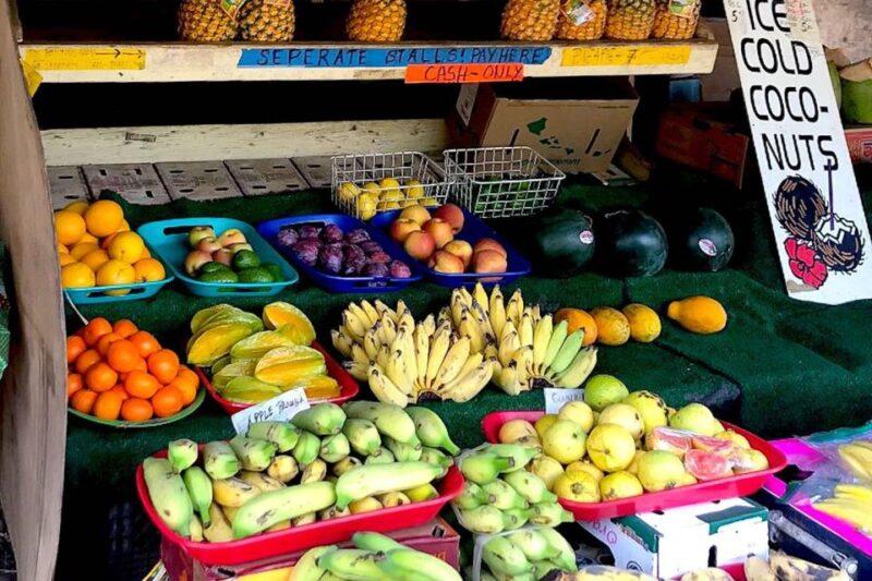 Oahu: Beauty and the Feast Circle Island Experience - Itinerary Highlights
