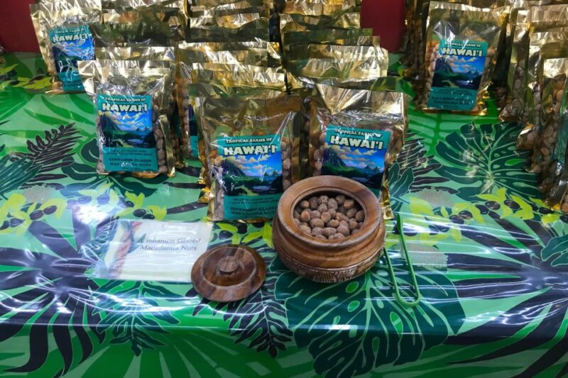 Oahu: Beauty and the Feast Circle Island Experience - Inclusions and Accessibility