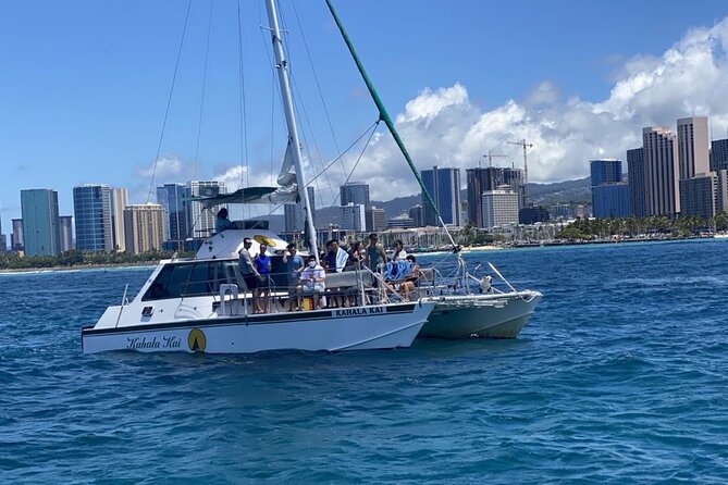 OAHU CATAMARAN Snorkel W/Turtles Waikiki SEE TURTLES GUARANTEED - Operated by Oahu Catamarans