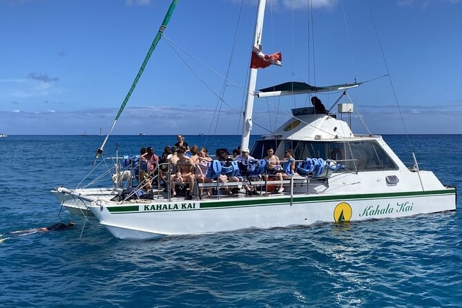 OAHU CATAMARAN Snorkel W/Turtles Waikiki SEE TURTLES GUARANTEED - Pricing and Cancellation Policy