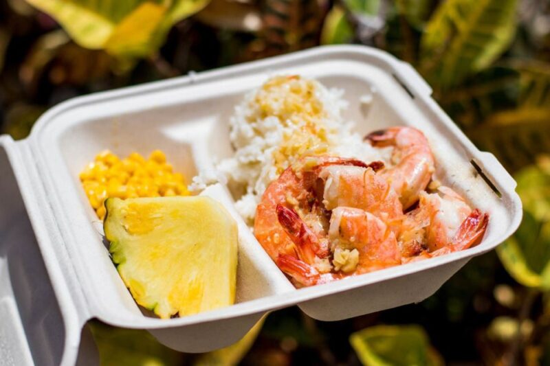 Oahu: Circle Island Day Trip With Shrimp Plate Lunch - Tour Highlights and Experiences