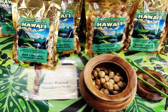Oahu Circle Island - North Shore Snorkeling Tour (Dole & Temple) - Overall Experience