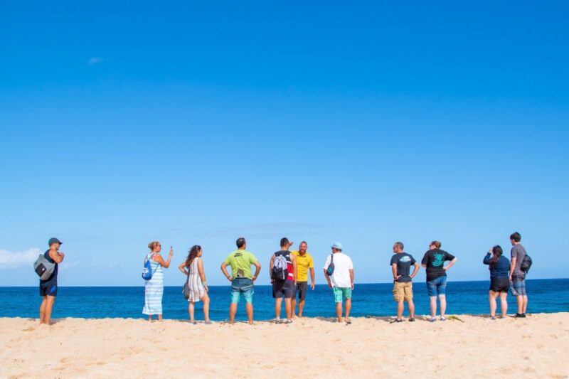 Oahu: Circle Island Snorkeling Tour - Panoramic Views