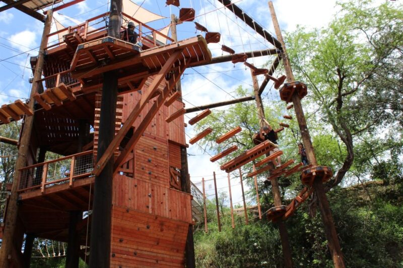 Oahu: Coral Crater Aerial Challenge Course - Preparation and Requirements