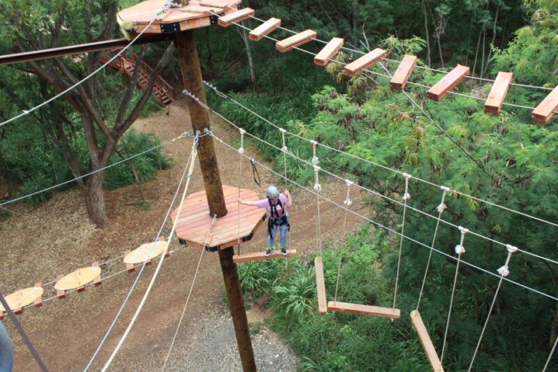 Oahu: Coral Crater Aerial Challenge Course - Customer Feedback