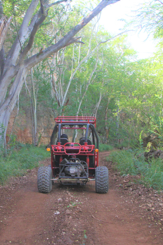 Oahu: Coral Crater Zipline and Offroad ATV Adventure - Zipline Course Details